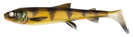 Zander